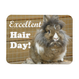 Funny "Excellence Hair Day" für Kaninchen Magnet