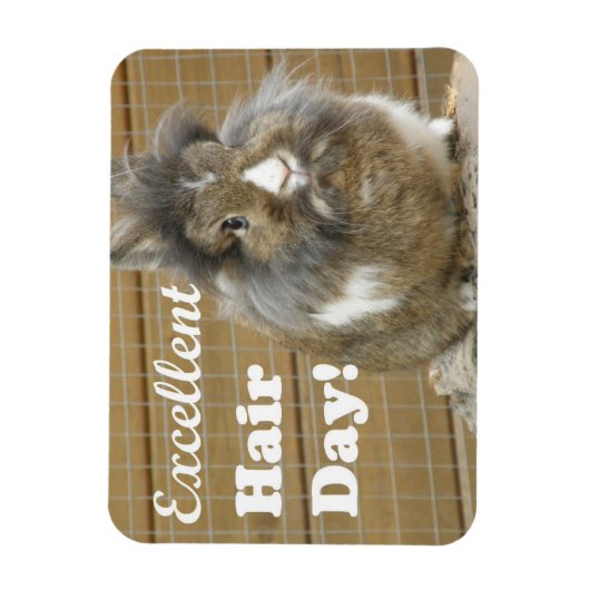 Funny "Excellence Hair Day" für Kaninchen Magnet (Vertikal)