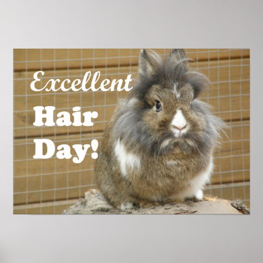 Funny "Excellence Hair Day" für Kaninchen Poster (Vorne)