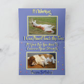 Funny Exercure Birthday Card mit Niedlichem Basset Karte (Innenseite)