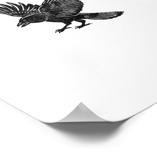 Funny F-Caw-F Crow Aesthetic Style Poster (Ecke)