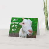 Funny Face Baby Goat wird gut Karte (Vorderseite)