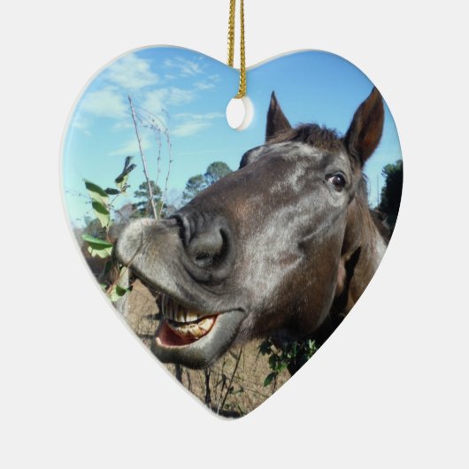 Funny Face braunes Pferd Keramikornament (Rechts)