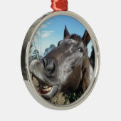 Funny Face braunes Pferd Ornament Aus Metall (Rechts)