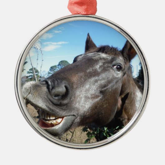 Funny Face braunes Pferd Ornament Aus Metall (Vorne)