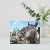 Funny Face braunes Pferd Postkarte (Stehend Vorderseite)