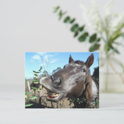 Funny Face braunes Pferd Postkarte (Stehend Vorderseite)