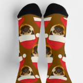 Funny Face | Der Hut des Weihnachtsmanns und das G Socken (Oben)