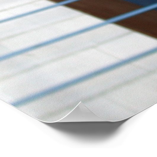 Funny Face Llama Poster (Ecke)