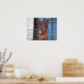 Funny Face Llama Poster (Küche)