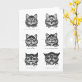 Funny Face of Cat, Louis Wain Karte (Gelbe Blume)