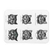 Funny Face of Cat, Louis Wain Magnet (Horizontal)