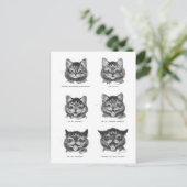 Funny Face of Cat, Louis Wain Postkarte (Stehend Vorderseite)