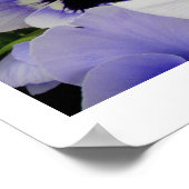 Funny Face von Linda Becker Poster (Ecke)