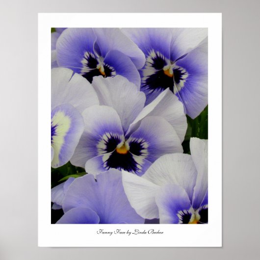 Funny Face von Linda Becker Poster (Vorne)