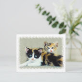 Funny Faced Kittens Postkarte (Stehend Vorderseite)