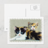 Funny Faced Kittens Postkarte (Vorne/Hinten)
