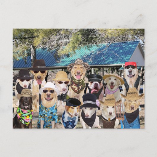 Funny Family Wiedersehen Einladungspostkarte (Vorderseite)