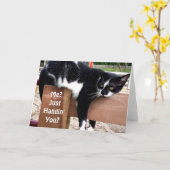 Funny Farm Cat Foto Grußkarte Karte (Gelbe Blume)