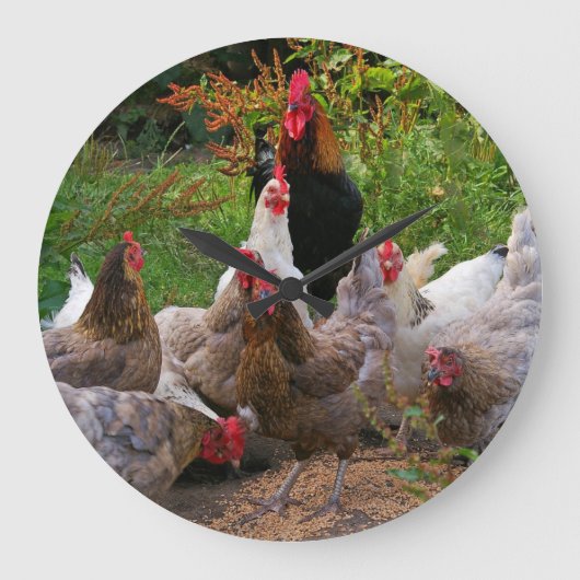Funny Farmyard Chickens Hens & Rooster Clock Große Wanduhr (Vorderseite)