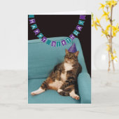 Funny Fat Cat Lila Happy Birthday Karte (Gelbe Blume)