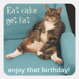 Funny Fat Tabby Cat essen Cake Fett Fett Quadratischer Aufkleber