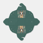 Funny Favor Box mit Curry Playful Llama Geschenkschachtel (Ungefaltet)