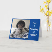 ***FUNNY FEED BESSER BALD*** CARD KARTE (Gelbe Blume)