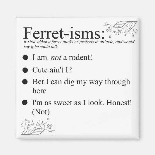 Funny Ferret Geschenke Magnet (Vorne)
