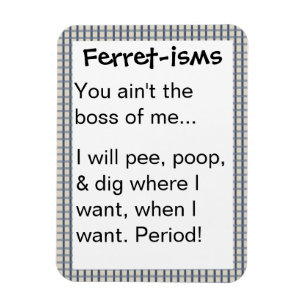 Funny Ferret-ism Quotes Magnet