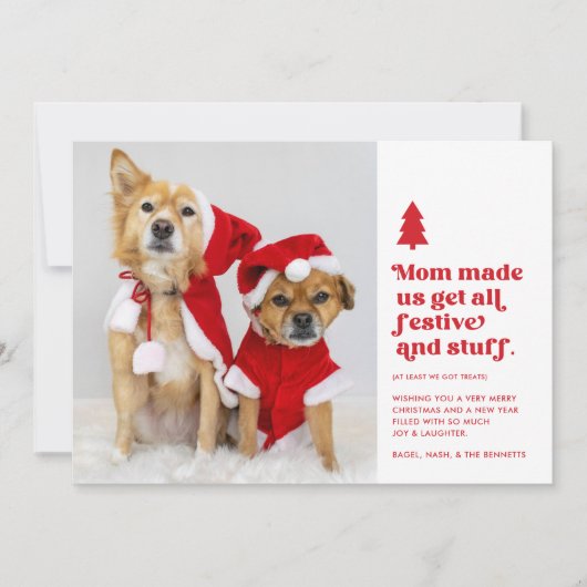 Funny Festivals Pets Foto Weihnachten | weiß (Vorderseite)