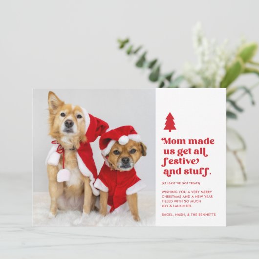 Funny Festivals Pets Foto Weihnachten | weiß (Stehend Vorderseite)