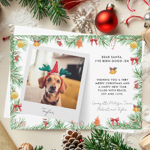 Funny Festive Pet Foto Hund Custom Weihnachten