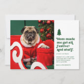 Funny Festive Pet Photo Christmas | White  Feiertagskarte (Vorderseite)