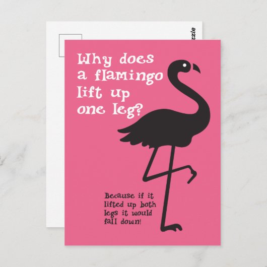 Funny Flamingo Riddle Postkarte (Vorne/Hinten)