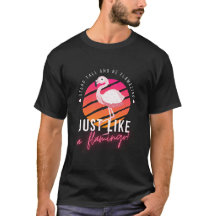 Funny Flamingo T - Shirt