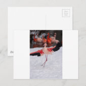 Funny Flamingo tanzt Flamenco Postkarte (Vorne/Hinten)