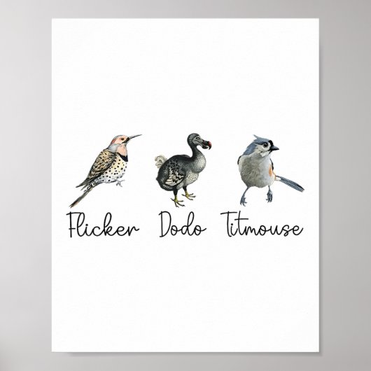 Funny Flicker Dodo Titmouse Poster (Vorne)