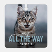 Funny Foto Pet Chat Weihnachten Ornament Aus Metall (Rückseite)