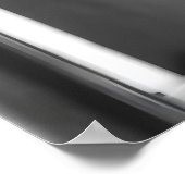 Funny Fox Bathroom Print, Reading Newspaper Poster (Ecke)