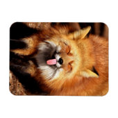 Funny Fox Sticken Es ist Zunge-Out Magnet (Horizontal)