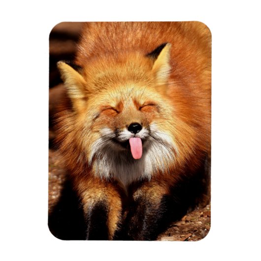 Funny Fox Sticken Es ist Zunge-Out Magnet (Vertikal)