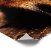 Funny Fox Sticken Es ist Zunge-Out Poster (Ecke)