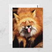 Funny Fox Sticken Es ist Zunge-Out Postkarte (Vorne/Hinten)