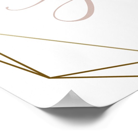 Funny Free Drinks Bar Menu Signieren Pink Gold Gol Poster (Ecke)