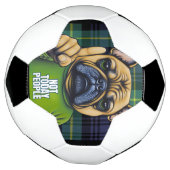 Funny French Bull Dog heute nicht Fußball (Gedreht)