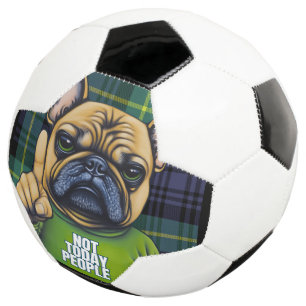 Funny French Bull Dog heute nicht Fußball