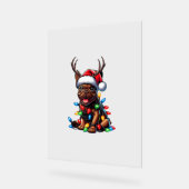 Funny French Bulldog Christmas Light Weihnachtsman Acrylschild (Winkel)