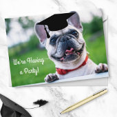Funny French BullDog Foto Graduation Party Einladung