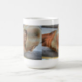 Funny Friendly Horse Muzzle und Zähne Kaffeetasse (Mittel)